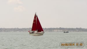 [11] More Tan Sails!