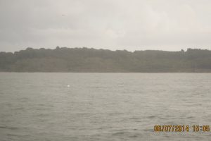 [19] 1505 Gannet On The Water