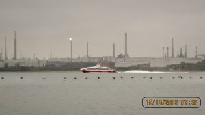 [2] Geese And Fawley Flaring