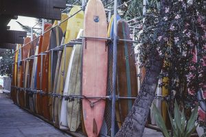Classic Surfboards
