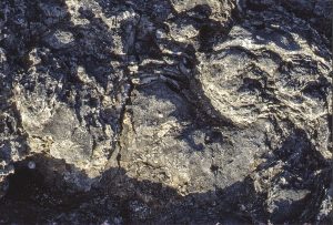 Old Lava Flow, North Shore (11)