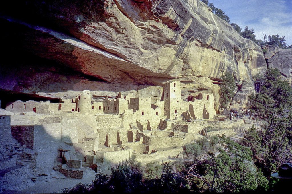 Cliff Palace (3 30)