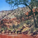 Postcard: Riding in Palo Duro Canyon