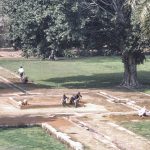 Garden Restoration Works (27b)
