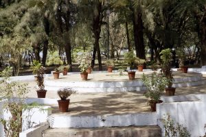 Menezes Braganza Gardens (Goa 2002 A12)