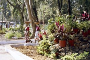 Menezes Braganza Gardens (Goa 2002 A17)