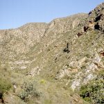 [07] Cogman's Kloof Trail ( SAfrica 1998 1 16)