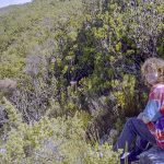 [05] Climbing Table Mountain (SAfrica 1998 2 11)