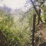 [03] Climbing Table Mountain (img367)