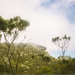 [11] Climbing Table Mountain (img369)