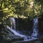 [05] Horseshoe Falls (3 07)
