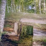 [19] Path Through Fallen Tree (3 22)
