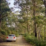 [25] Road To Junee Cave (3 30)