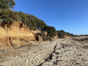 220225 cliff erosion (IMG 3527)