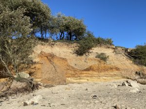 220225 cliff erosion (IMG 3529)