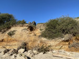 220225 cliff erosion (IMG 3530)