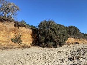220225 cliff erosion (IMG 3532)