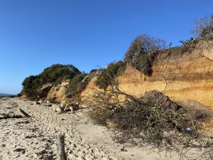 220225 cliff erosion (IMG 3533)