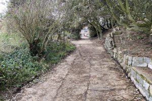 [07] The WWI Concrete Road Up To The House And Hence To Lepe Road