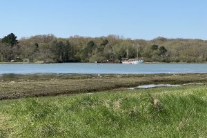 [07] The entrance to the Clobb Copse basin; oyster beds before WWII