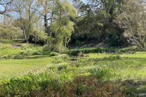 [18] I sat by the Bog Garden for a short while before having to drive back to Lepe