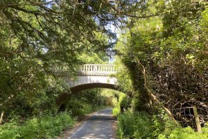 [04] Exbury Bridge Conects The Two Halves Of Exebury Gardens