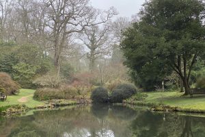 Lovely Misty Morning