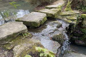 The Streams Are Flowing Well After The Winter.jpg