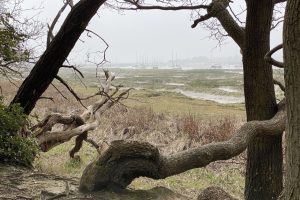 The (old) River Walk