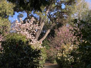 IMG 7153