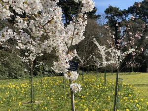 IMG 7156