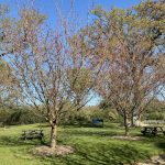 IMG 7165