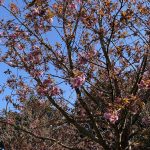 IMG 7167