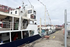 [02] IMG 7713