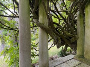 [10] IMG 8509