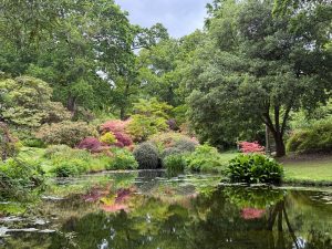 [11] IMG 8525