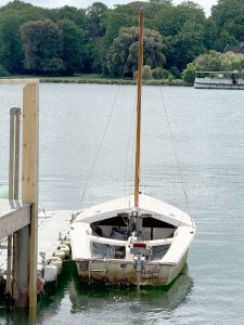 IMG 8498