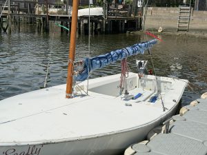 IMG 8794