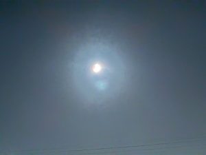 0444 28 Aug 2026 IMG 8932