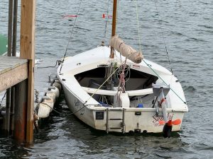 IMG 8995x1280